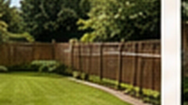 Recent garden work